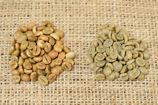 Arábica y Robusta, te explicamos las diferencias…